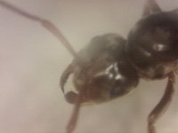 20250617-181901-946.jpg