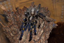 1750175650479.png 1750175650479.png