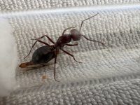 IMG_5148.jpeg