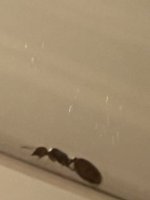 IMG_2704.jpeg IMG_2704.jpeg