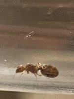 IMG_2703.jpeg