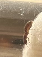 IMG_2701.jpeg