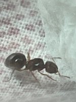 IMG_2695.jpeg