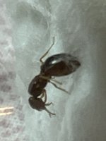 IMG_2699.jpeg