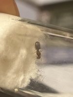 IMG_2769.jpeg