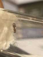 IMG_2770.jpeg