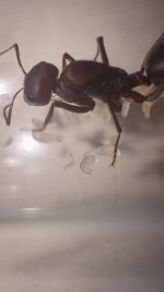 IMG_0971.jpeg
