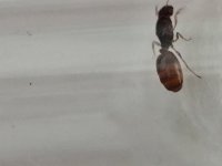IMG_20250608_111624.jpg