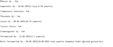 resim_2025-06-18_112313767.png