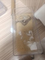IMG_20250613_010531.jpg