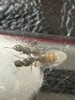 IMG_3103.jpeg