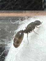 IMG_3104.jpeg