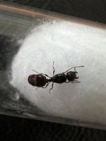 IMG_3107.jpeg