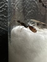 IMG_3110.jpeg