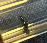 IMG_0404.JPEG