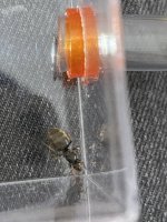 IMG_3092.jpeg
