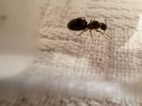 IMG_5360.jpeg