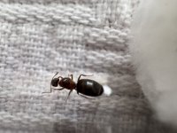 IMG_5359.jpeg