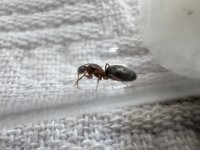 IMG_5358.jpeg