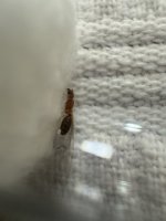 IMG_5354.jpeg