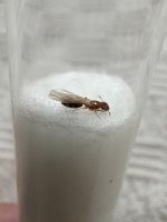 IMG_5353.jpeg