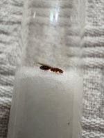 IMG_5352.jpeg