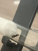 IMG_0795.jpeg