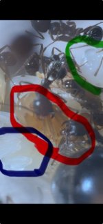IMG_1060.jpeg