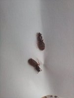 20250618_182222.jpg