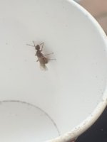IMG_0933.jpeg