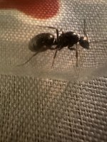 IMG_3327.jpeg