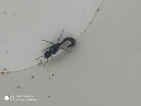 IMG_20250619_195349.jpg