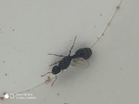 IMG_20250619_195529.jpg