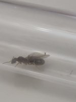 20250619_192118.jpg