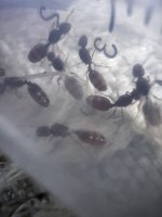 IMG_2467.jpeg