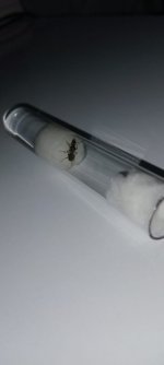 ce110135-aff8-4ef9-85e2-b969b47eb476.jpg