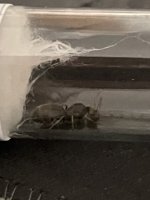IMG_1225.jpeg