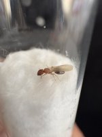 IMG_5373.jpeg