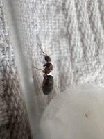 IMG_5356.jpeg