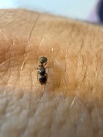 IMG_5399.jpeg