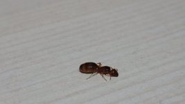 IMG_20250620_004459_1.jpg