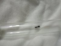 IMG_20250619_205437_859.jpg