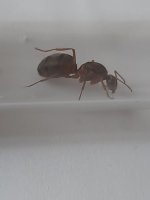 20250620_140257.jpg