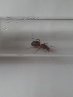20250620_140241.jpg