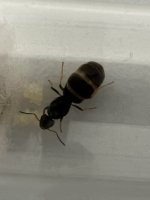 IMG_9780.jpeg