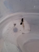 20250620_153027.jpg