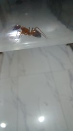 20250620_205732.jpg