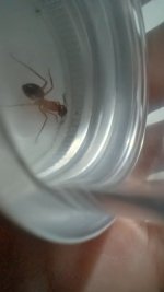 20250620_205453.jpg