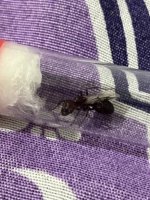 IMG_0175.jpeg