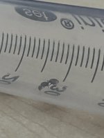 IMG_5539.jpeg